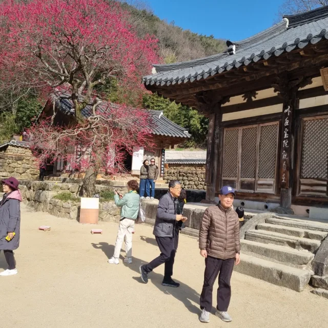 구례화엄사