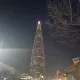 제주감귤