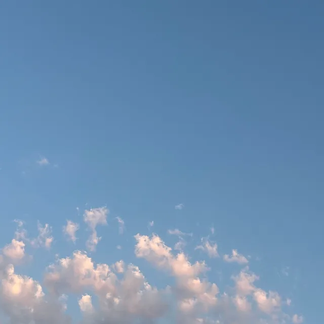 엘사