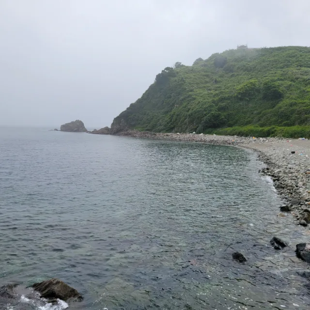 네네
