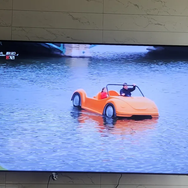 하아얀