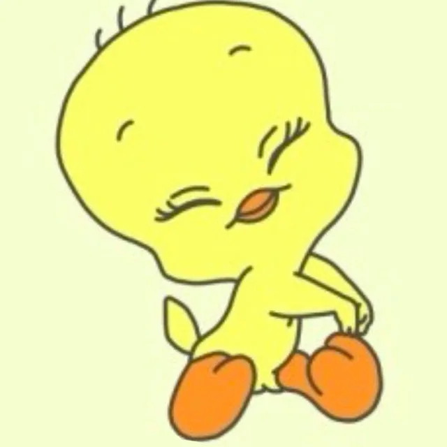 콩콩