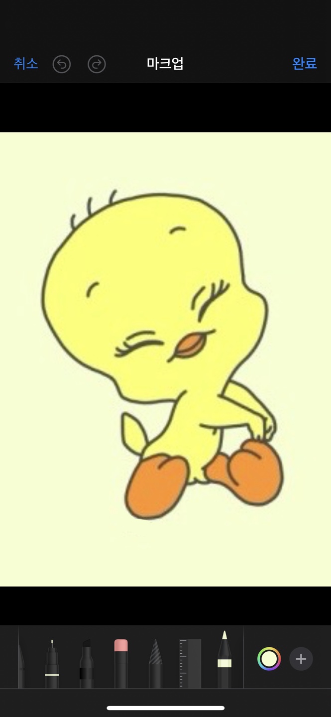콩콩