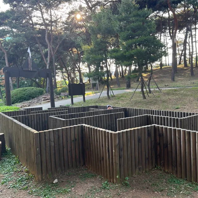 김수한무거북이와두루미