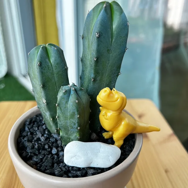 롤로랄라