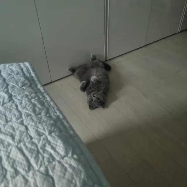 안광철