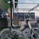 슈컵