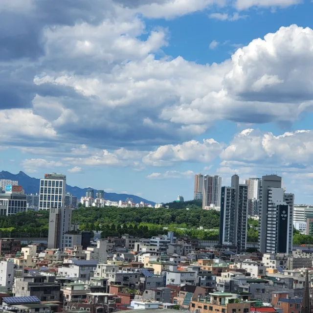 하늘사랑