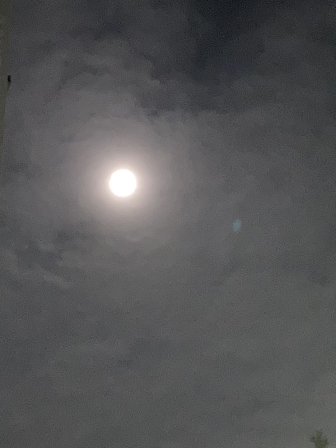 딸기좋아