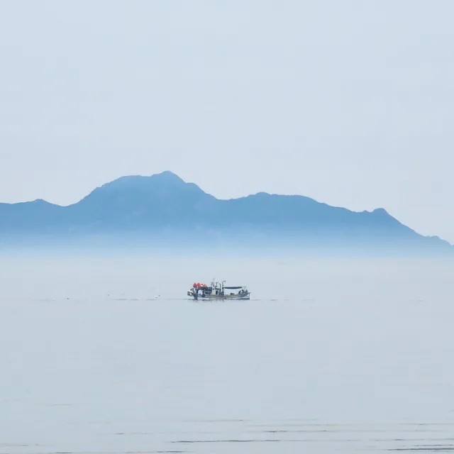 설운