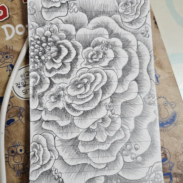 민들레