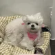 밍밍밍