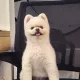 덕순