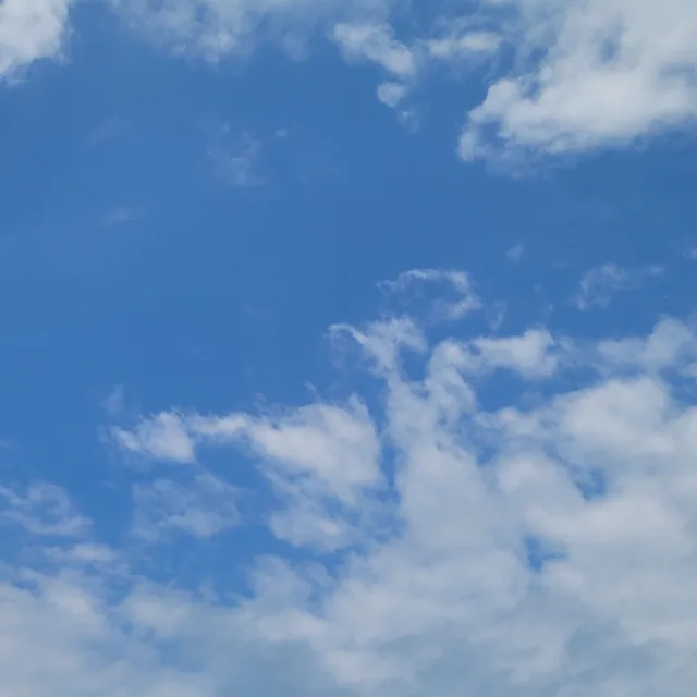 가을