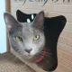 JINI
