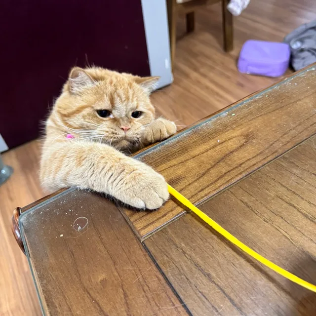 루루