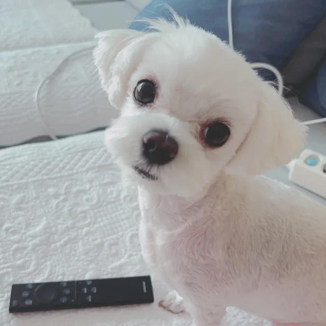 곰곰