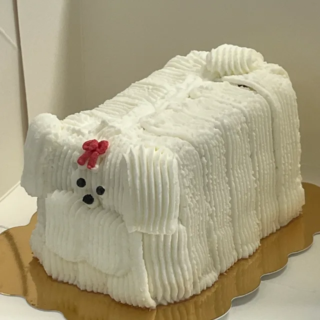 크런치샤과