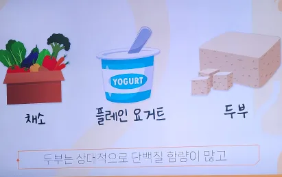 플레인요거트