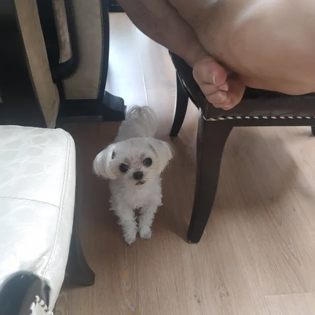 항시감사