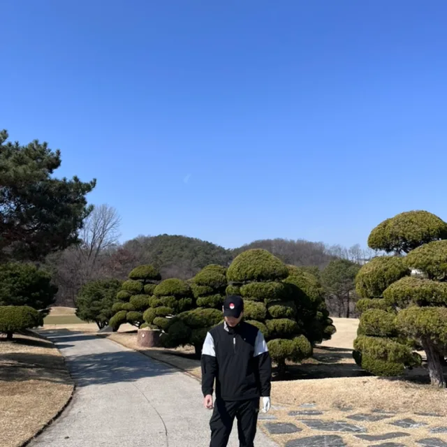 시누
