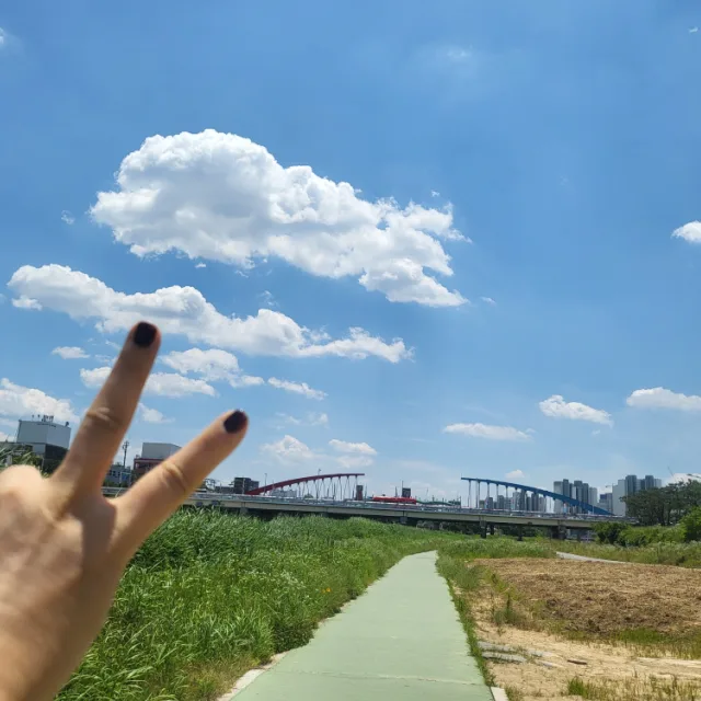 선인장
