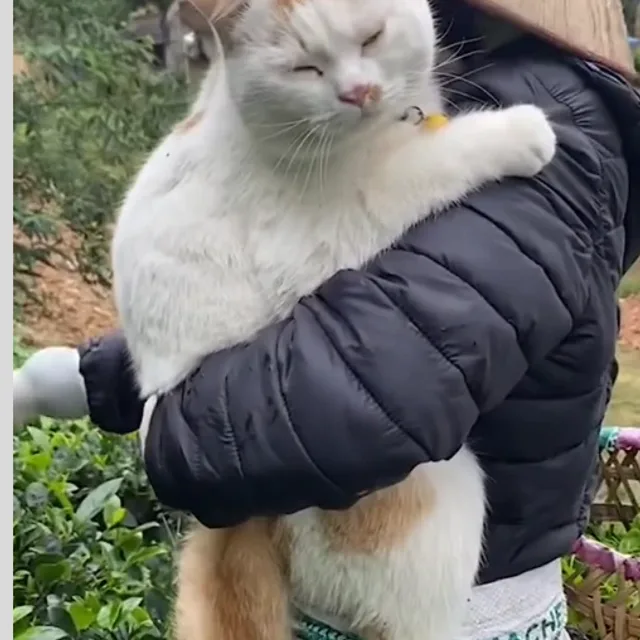 김아지