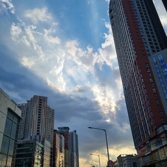 잠자는숲속의돼지