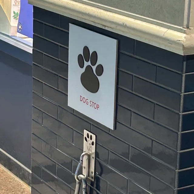 얼룩고냉이