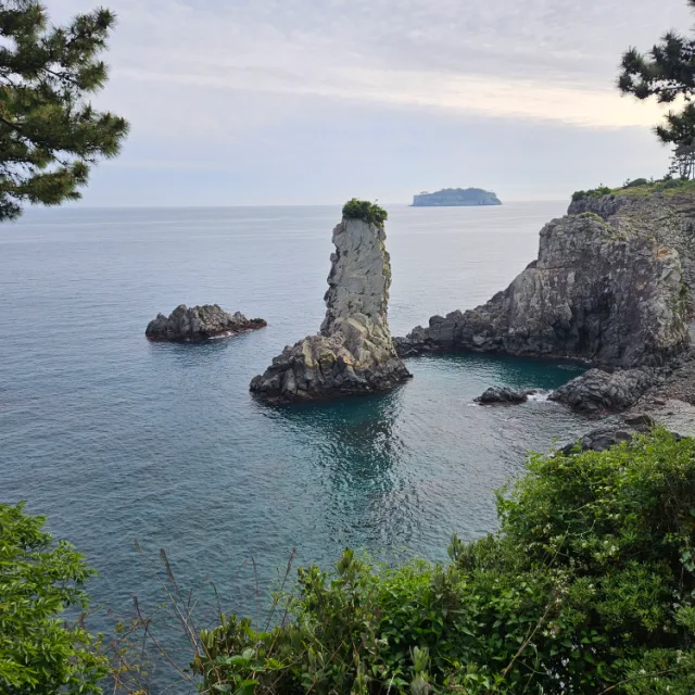 산초리