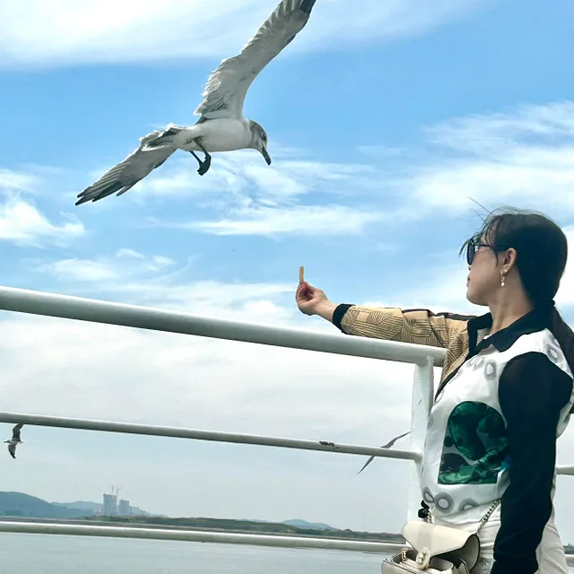 삶의보람