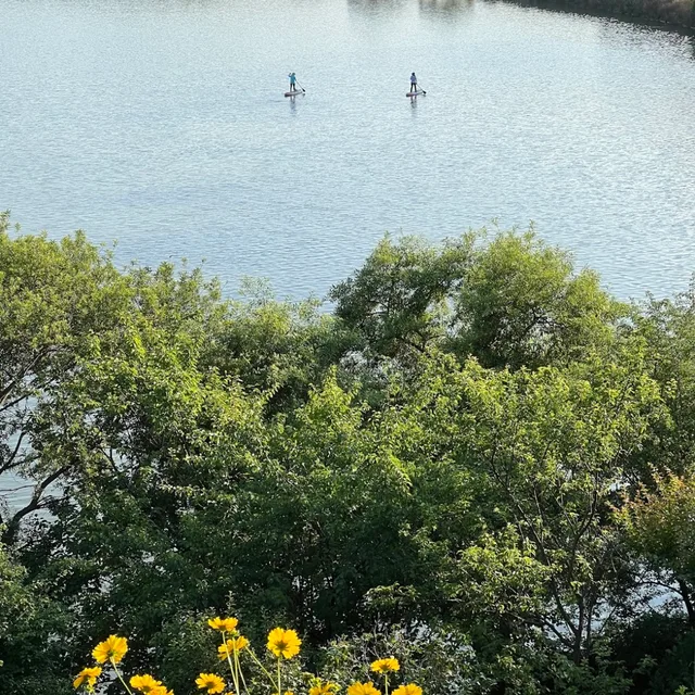 단풍이네