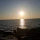 사랑님