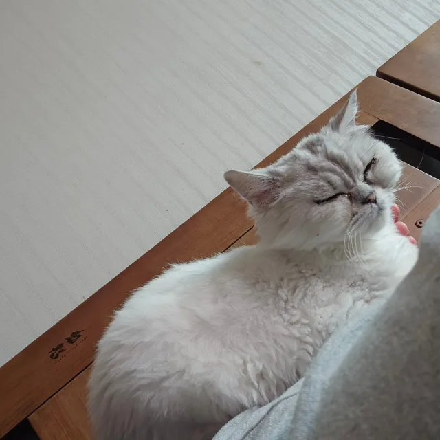 미우기