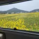 무소유