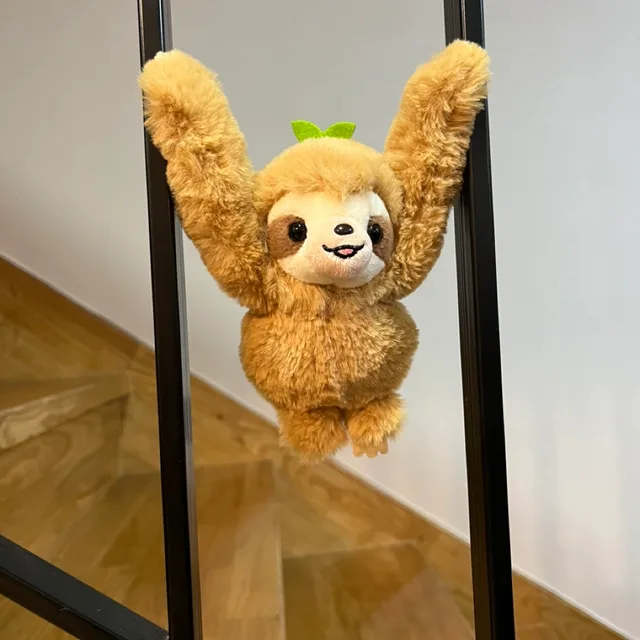 땅콩