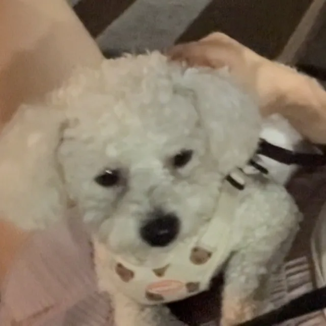 뚜뚜뚱
