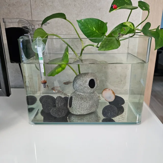 힘내라읏샤