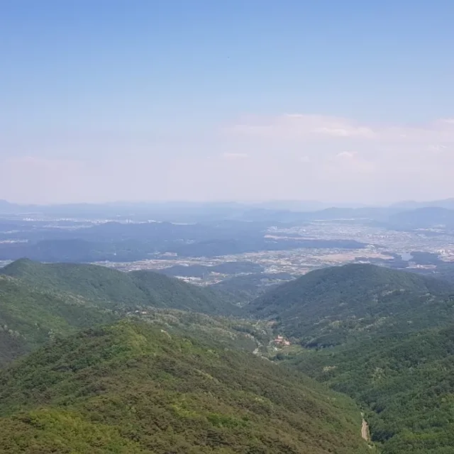똘방개