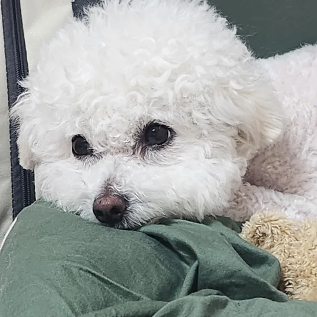 히히