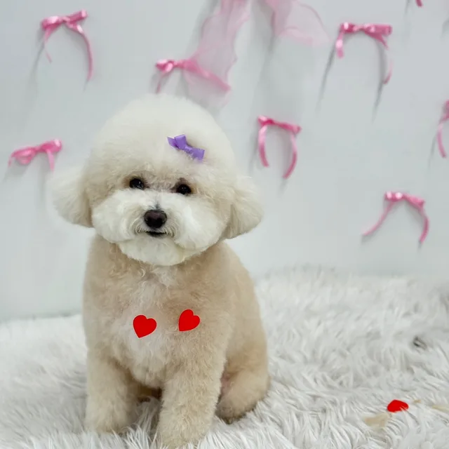힘쎈파이터