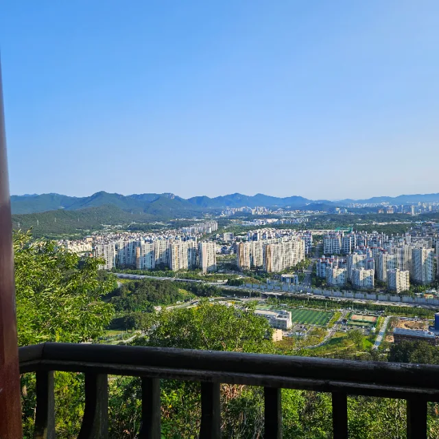 루트