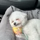 치차리토
