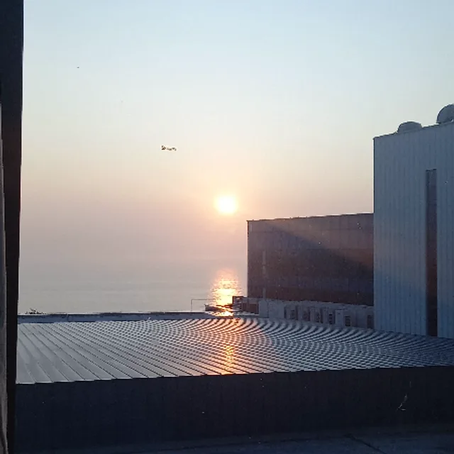 바둑이