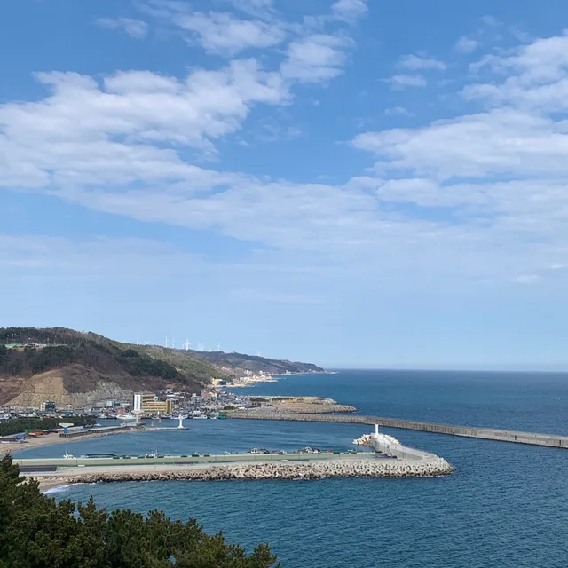 긍정회로