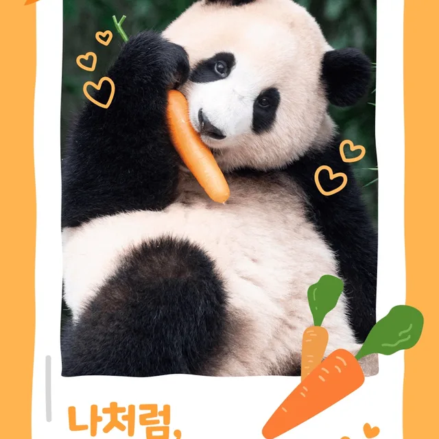 푸바오사랑