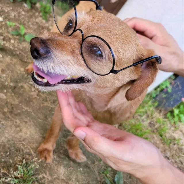 겐지도우메이커