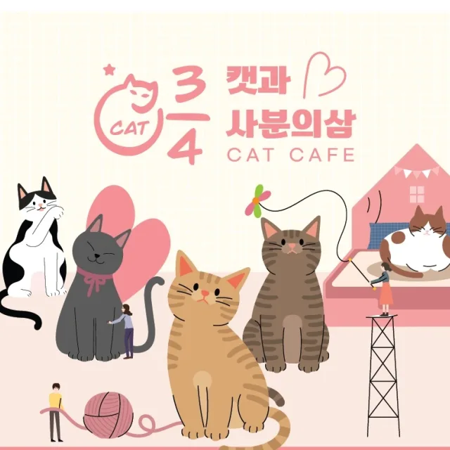 캣과사분의삼
