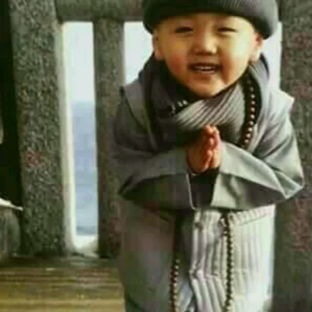 도리
