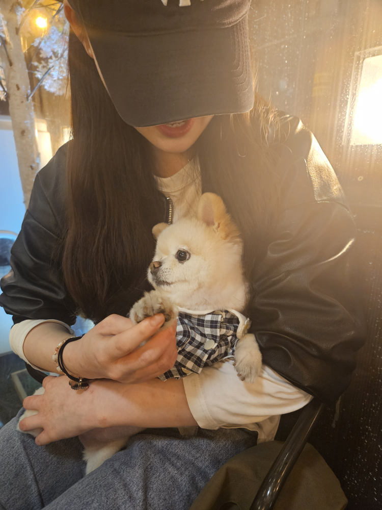 유자